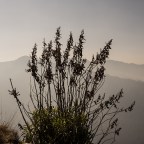 Road to and from Laprak